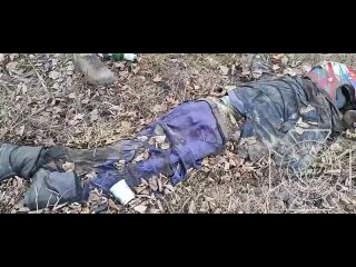 free очередное военное преступление всушников расстрелянная машина с мирным жителем и убитый мотоциклист на останое на hd