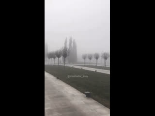 free черно белый парк галицкого во время тумана hd