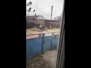 free мужчина оттаскал за волосы 18 летнюю девочку в станице кирпильской усть лабинского района hd