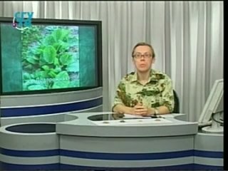 free природные лекарства фитотерапия часть 1 урок 1 основные принципы фитотерапии развитие фитотерапии в россии hd