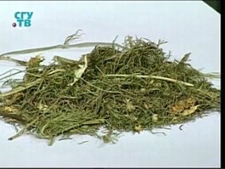 free природные лекарства фитотерапия часть 2 урок 6 лекарственные растения действующие на нервную и сердечно сосудистую hd