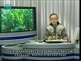 free природные лекарства фитотерапия часть 3 урок 2 растения обладающие диуретическими и противоотечными свойствами hd