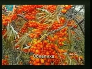 free природные лекарства фитотерапия часть 3 урок 8 лекарственные растения обладающие противовоспалительными и hd