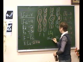 free мануальная терапия функциональных блоков поясничного и грудного отдела позвоночника hd