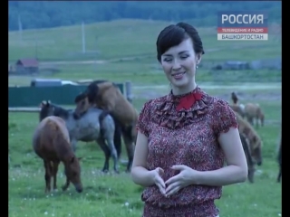 free в башкирии лошади занялись сексом прямо во время телесъемок hd
