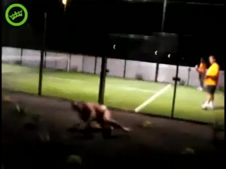free это видео заряжает настроением даже если его нет обосаться можно не только над мужиком но и над смехом hd