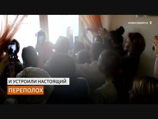 free дед мороз и снегурочка спустились с крыши в больничные палаты hd