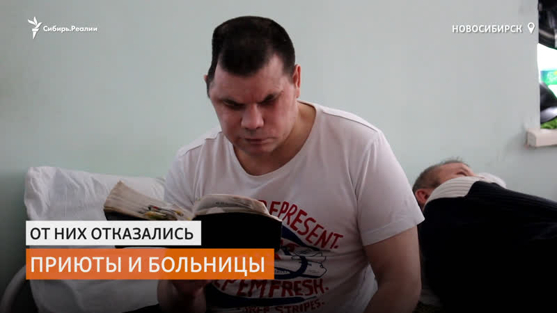 free заботу о бездомных взяли на себя волонтёры сибирь реалии hd