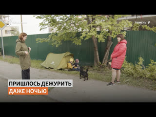free в тюмени люди живут в палатках под деревьями чтобы спасти их от сноса сибирь реалии hd
