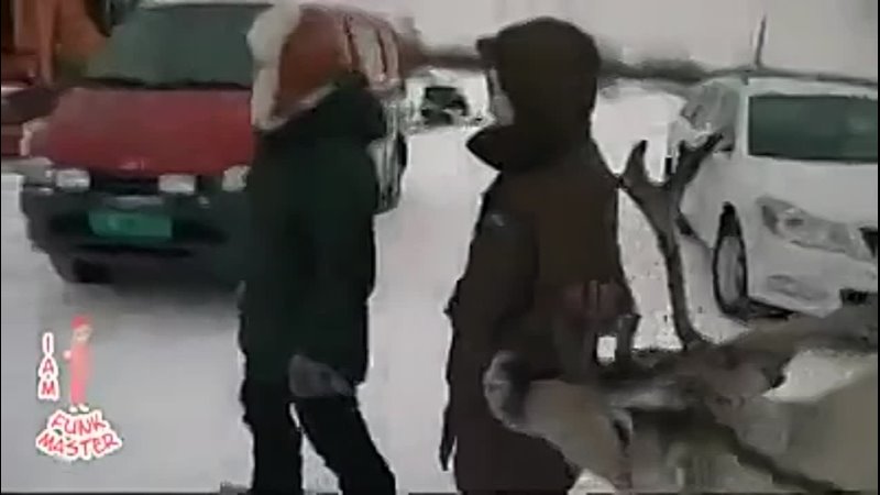 free самое ржачное видео в мире короткие ролики прикольные и смешные видеоролики hd