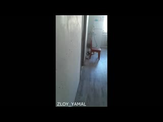 free отец девочки которую сосед застрелил через дверь в чите рассказывает как всё произошло hd