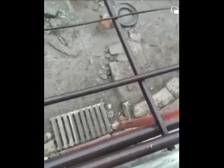 free предупреждения со стороны вс азербайджана на армянском языке которое разносилось по территории ханабада hd