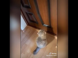 free пришлось выучить человеческий hd