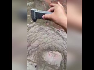free заткнись и возьми мои деньги мне очень нужна эта вещь hd