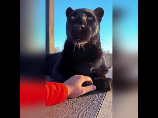 free мое состояние в конце рабочего дня hd