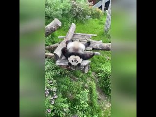 free примерно так я выгляжу все выходные напролет hd