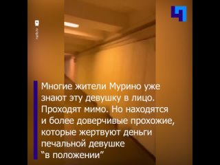 free вечно беременная девушка регулярно просившая милостыню в мурино ударила пенсионерку hd