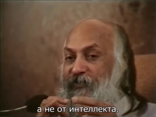 free существование течет по своему руслу оно совершенно нелогично hd