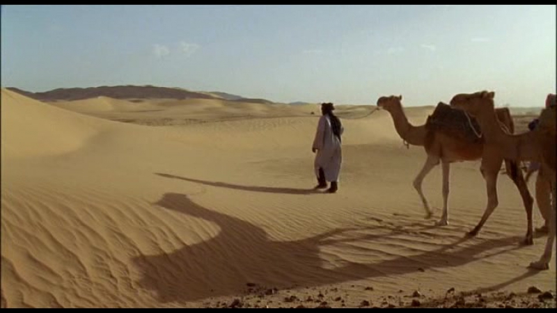 free сахара с майклом пэйлином 3 я серия абсолютная пустыня sahara with michael palin 2002 hd