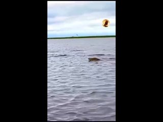 free видео от шестьвосемь 68 верхняя пышма среднеуральск 360p mp4 hd