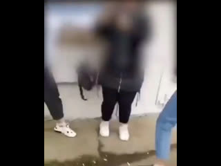 free в оршанском колледже продовольствия поссорились две студентки дошло до драки hd