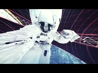 free полет шмеля расскажем зачем ученые прикрепляют к насекомым сенсоры и камеры жизнь собачья посмотрим как на заводе hd