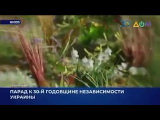 free интернациональный долг цинковые гробы шурави и душманы этот выпуск словаря холодной войны особенный на фоне соб hd