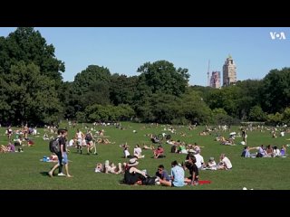 free newньюйорк newyorkньюйорк как гарри встретил салли романтическая комедия 89 года который была невероятно смелой для hd