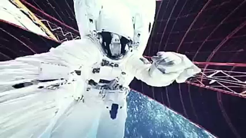 free каждой твари по паре исследователи из аризоны предложили концепцию создания ноева ковчега на луне неприкасаемые hd