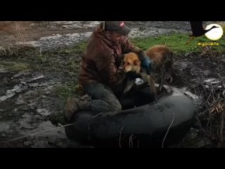 free молодые тонула в болоте но мужчина не смог пройти мимо hd