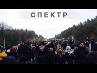 free колонна мигрантов прорвалась из беларуси в польшу hd