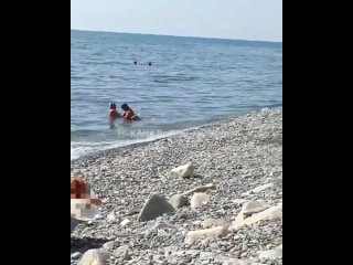 free в сочи пока муж спал на пляже жена рядом изменяла ему с другом hd