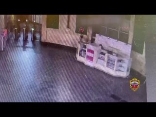 free полицейскими задержана подозреваемая в краже сувенирной продукции московского метрополитена hd