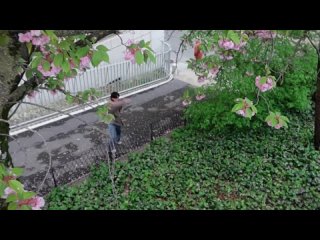 free zhuyilong красивые пейзажи верховая езда фильмы все хорошее что встречается во время путешествия драгоценно hd