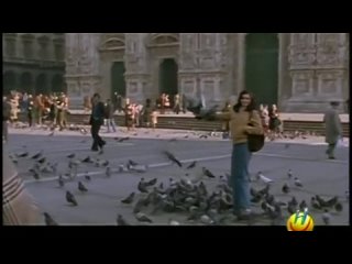 free дорогая и сладкая племянница 1977 cara dolce nipote hd