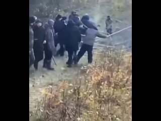 free появилось свежее видео с границы беларуси и польши на котором нелегалы снова пытаются разрушить ограждение hd