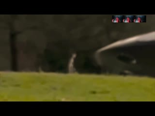 free пришельцы прощание казнь плевок в небо суицидтрейлер hd