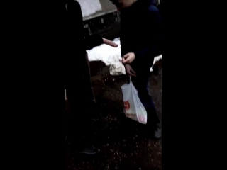 free карлик девственник устал и захотел снять проститутку но она оказалась с подвохом hd