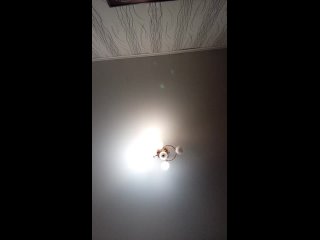 free русское порно с разговором госпожа смотри в потолок пока я занята твоей жопой писечка моя hd