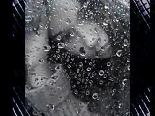 free она была горяча горела словно свеча она любила меня hd