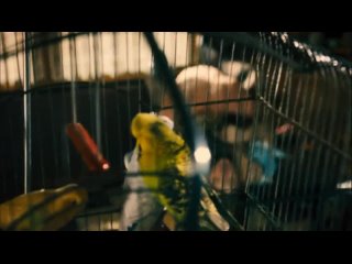 free ух какая сиськи и попка натали дормер в фильме гонка восхитительно сиськине порноне э hd