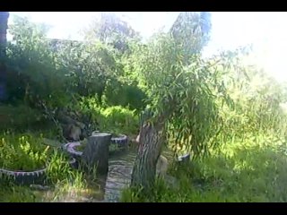 free володя как всегда отличился приятного просмотра не порно hd