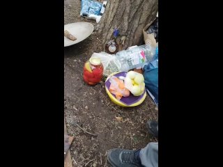 free отдых в кругу друзей и всегда незабываемые впечатления праздник дома в гараже на даче и любом другом сабантуе hd