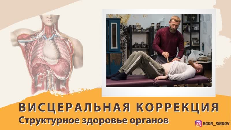 free висцеральная коррекция структурное здоровье органов hd