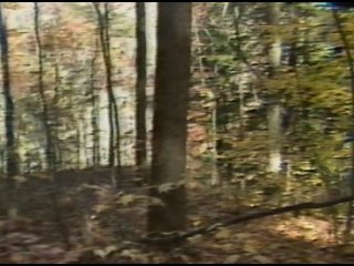 free я плюю на ваши могилы 2 дикая месть реж дональд фармер сша 1993 г hd