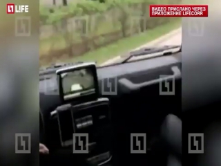 free во время задержания золотая молодёжь смотрела порно hd