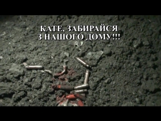 free 05 02 2016 р сбєрбанк росії акція проти російського бізнесу в м івано франківськ hd