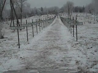 free в чернобыле возле аллеи выселенным деревням hd