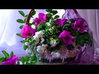 free ирина под музыку песня про девушку ирину ах ирина ирочка прекрасней всех знаешь это сама на тебя смотрю и в душе hd