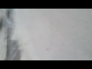 free море волнуется раз море волнуется два море волнуется три морская фигура на месте замри hd